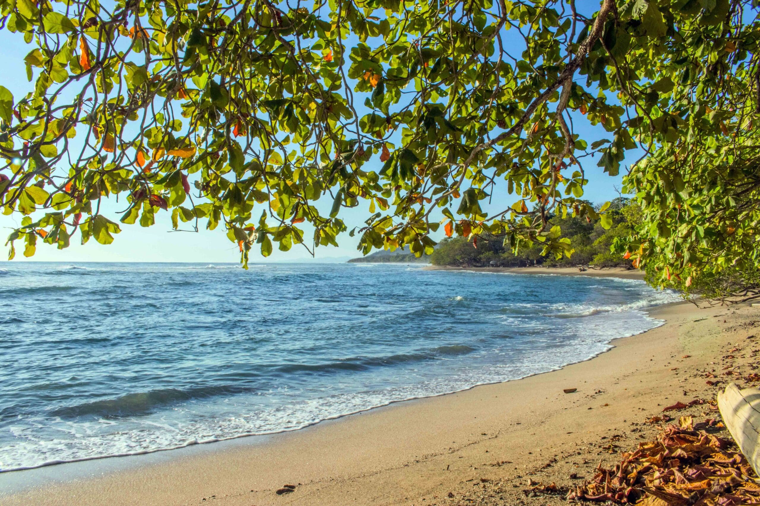Beautiful view of Costa Rica with blue waters crashing onto the sandy shores and greenery along the coast