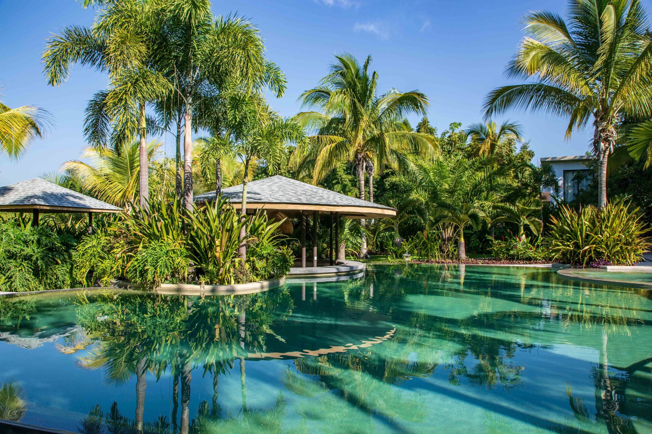 View of an empty pool with tall palm trees and various resort buildings around the pool